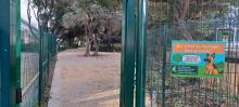  Ouverture de deux nouveaux caniparcs – Jardin de la Maternité 