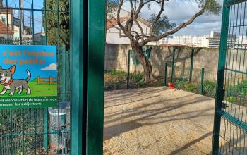 Ouverture de deux nouveaux caniparcs – Jardin de la Maternité