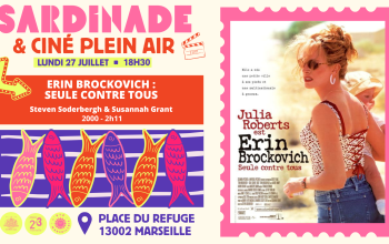 Ciné Plein-Air et sardinade : erin brockovich, seule contre tous